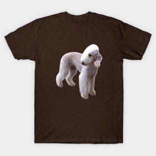 Bedlington Terrier T-Shirt